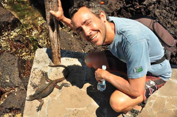 Uma pequena e tranquila iguana na Ilha de San Bartolomeu (próxima a Isla de Santiago), em Galápagos